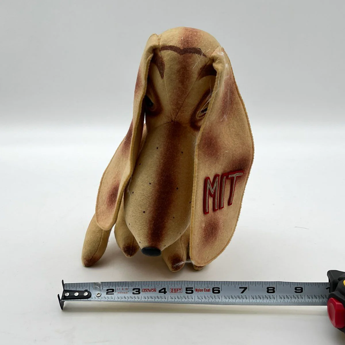 Vintage MIT Collegiate Souvenir Plush Dog Felt Fabric Long Ears 10 Inch - Image 8